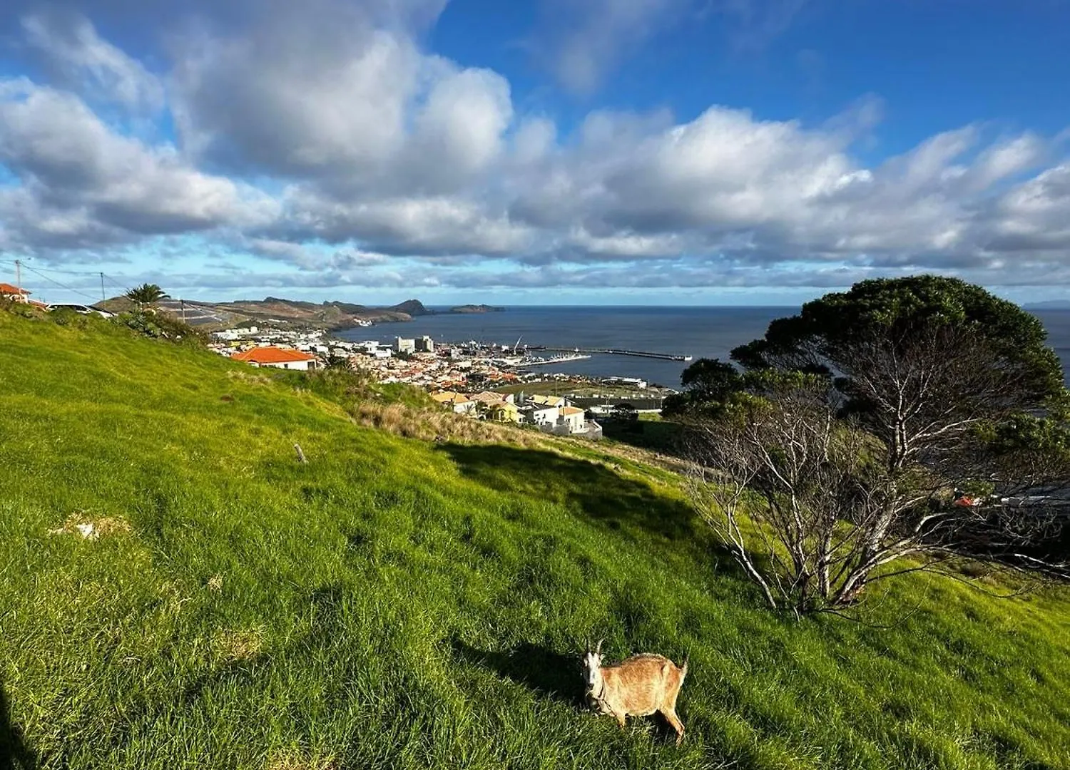 Apartmán Sao Lourenco Canical